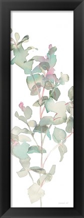 Framed Eucalyptus II White Crop Print