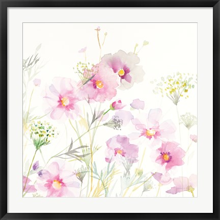 Framed Queen Annes Lace and Cosmos on White II Print
