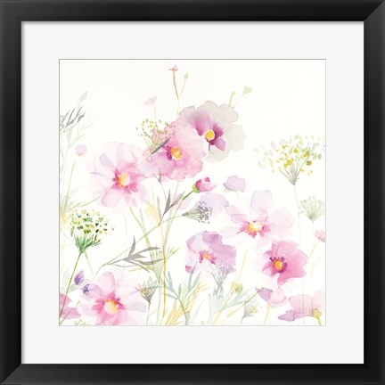 Framed Queen Annes Lace and Cosmos on White II Print