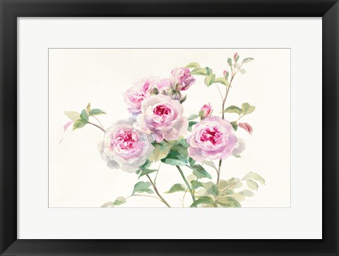 Framed Sweet Roses on White Green Print