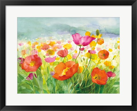 Framed Meadow Poppies Print