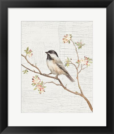 Framed Black Capped Chickadee Vintage v2 Print