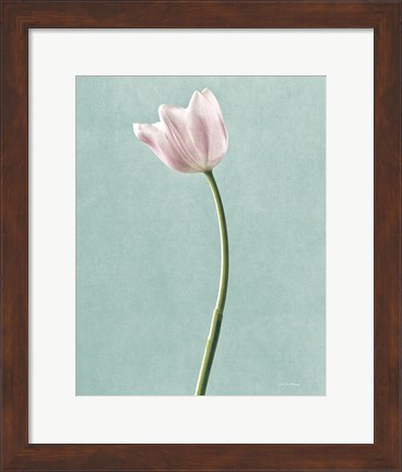 Framed Light Tulips I Harbor Gray Print