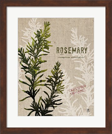 Framed Organic Rosemary No Butterfly Print