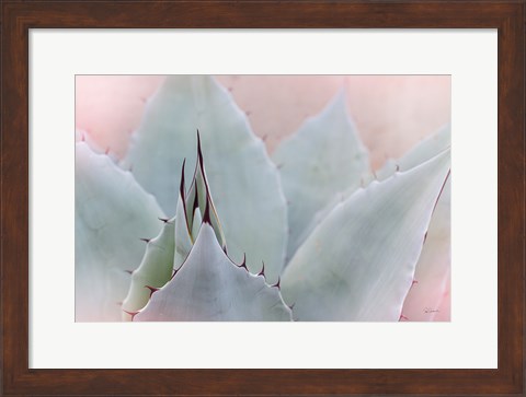 Framed Dream Desert V Print