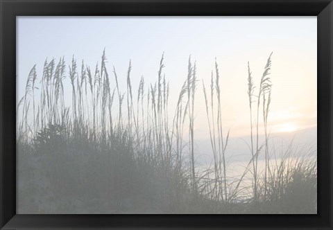 Framed Morning Whisper I Print