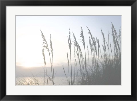 Framed Morning Whisper II Print