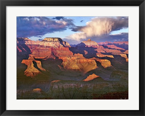 Framed Canyon View III Print