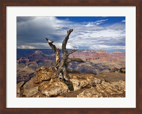 Framed Canyon View V Print