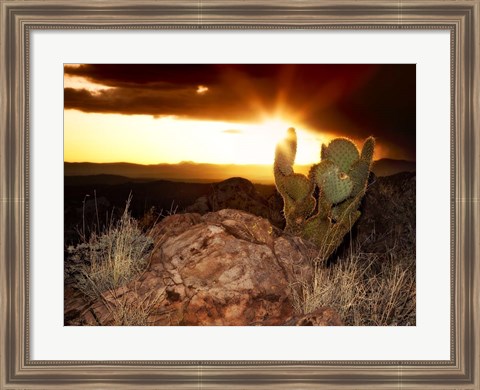 Framed Sunset in the Desert V Print