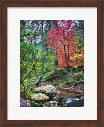 Framed Peaceful Woods II Print