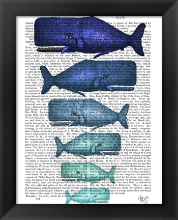 Framed Blue Whale Family Print