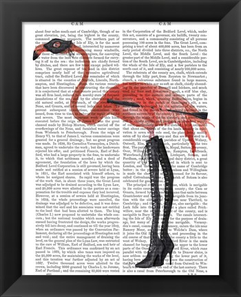 Framed Flamingo with Kinky Boots Print