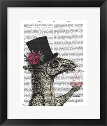 Framed Llama Lush 1 Print