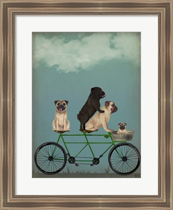 Framed Pug Tandem Print