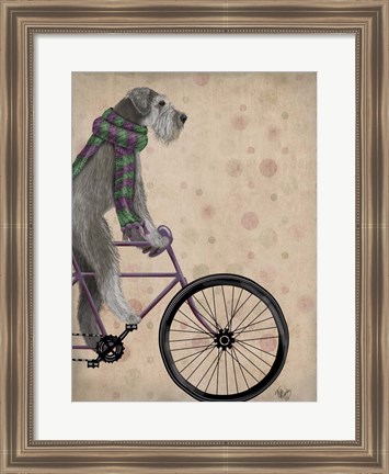 Framed Schnauzer on Bicycle, Grey Print