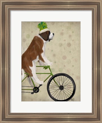 Framed St Bernard on Bicycle Print