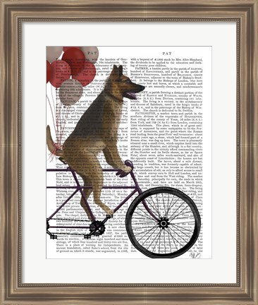 Framed German Shepherd on Bicycle Print