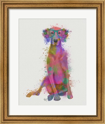 Framed Rainbow Splash Weimaraner, Full Print