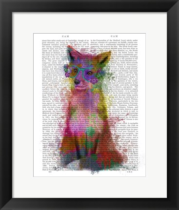 Framed Rainbow Splash Fox 1 Print