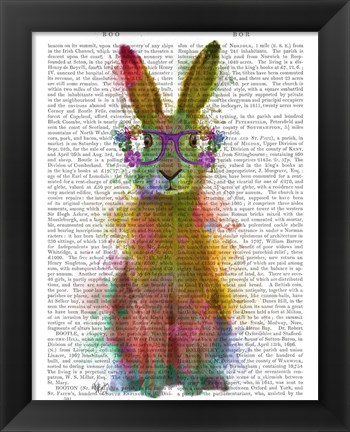 Framed Rainbow Splash Rabbit 1 Print