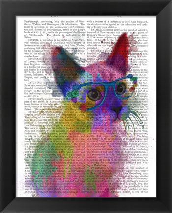 Framed Rainbow Splash Cat 2 Print