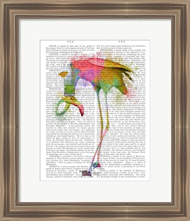 Framed Rainbow Splash Flamingo 4 Print