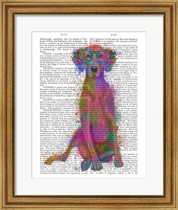 Framed Rainbow Splash Weimaraner, Full Print