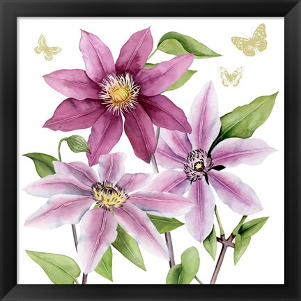 Framed Clematis Climb I Print