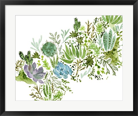 Framed Succulent Field I Print