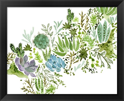 Framed Succulent Field I Print