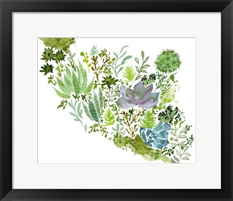 Framed Succulent Field II Print