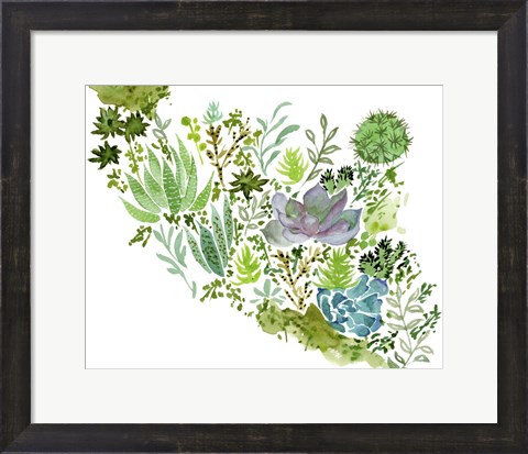 Framed Succulent Field II Print