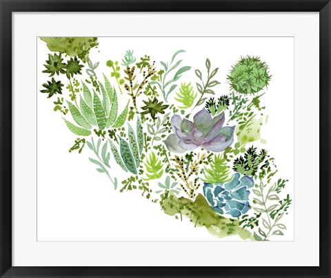 Framed Succulent Field II Print