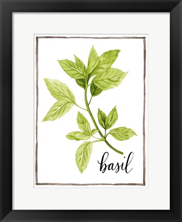 Framed Watercolor Herbs I Print