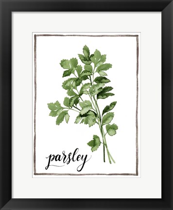 Framed Watercolor Herbs II Print