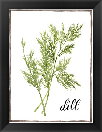 Framed Watercolor Herbs III Print