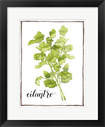 Framed Watercolor Herbs IV Print