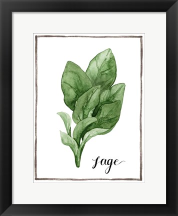 Framed Watercolor Herbs VI Print