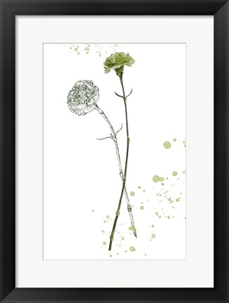 Framed Botany Flower III Print