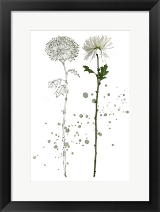 Framed Botany Flower IV Print