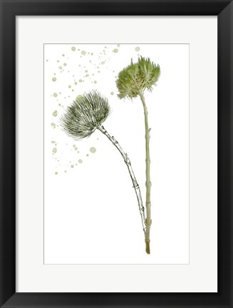 Framed Botany Flower V Print