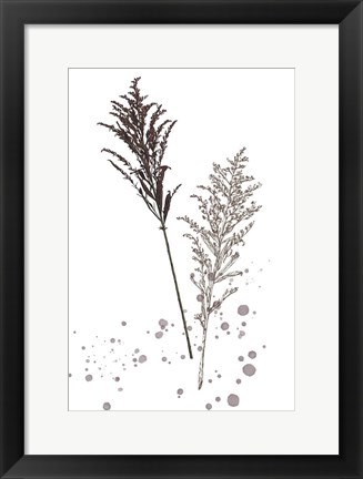 Framed Botany Flower VI Print