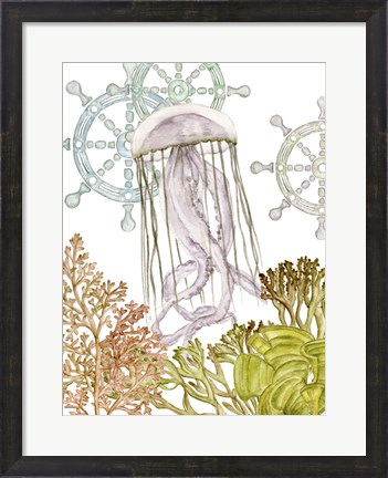 Framed Undersea Creatures III Print