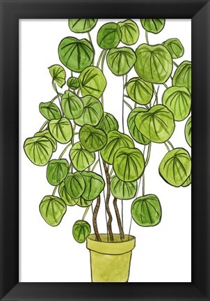 Framed Potted Jungle II Print