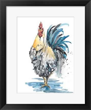 Framed Rooster Splash II Print