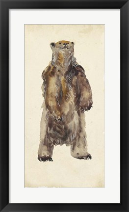 Framed Brown Bear Stare I Print