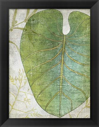 Framed Frond IV Print