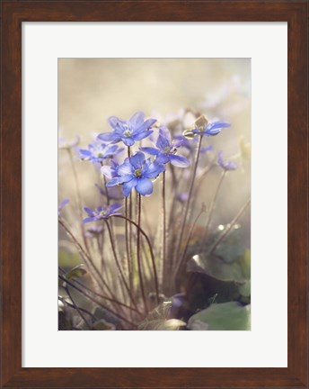 Framed Spring Print