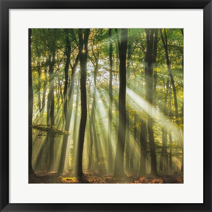 Framed Sunny Start To The Day Print